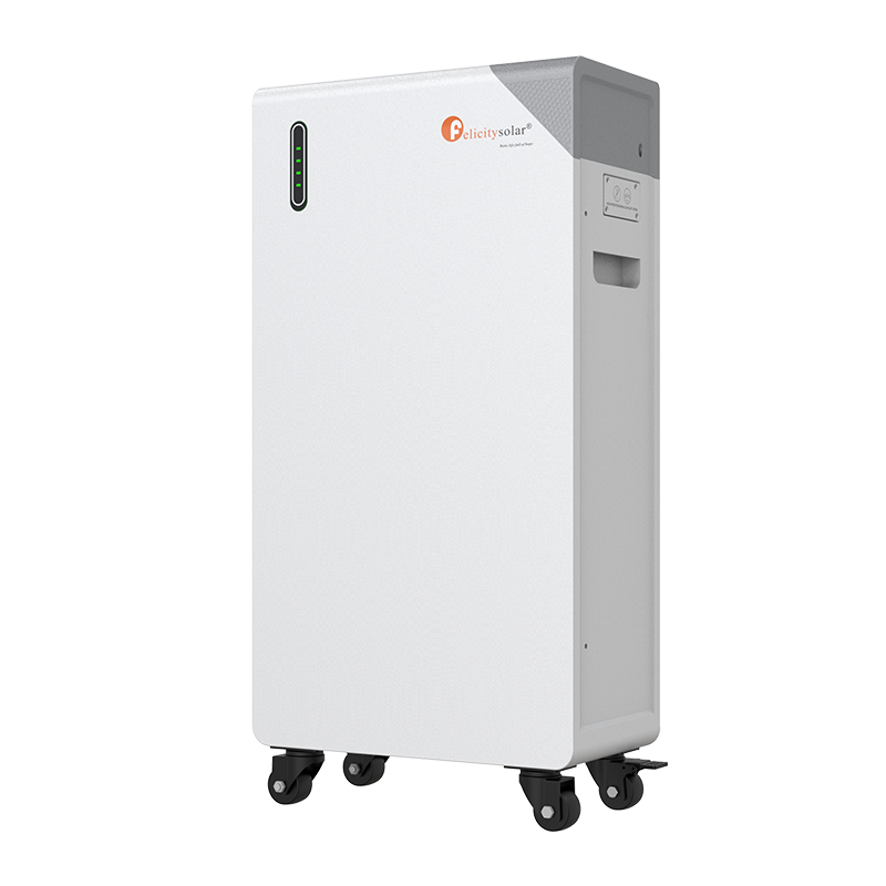 🔋⚡ Batteria al Litio 16 kWh – FLB48314TG1 | 314Ah – Bassa Tensione (48V) – Serie F – felicitysolar®